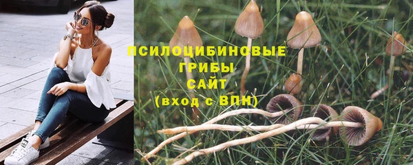 ГАЛЛЮЦИНОГЕННЫЕ ГРИБЫ Балахна
