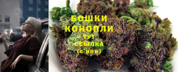 PSILOCYBIN Баксан