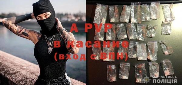 PSILOCYBIN Баксан