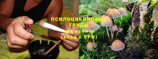 ГАЛЛЮЦИНОГЕННЫЕ ГРИБЫ Балахна