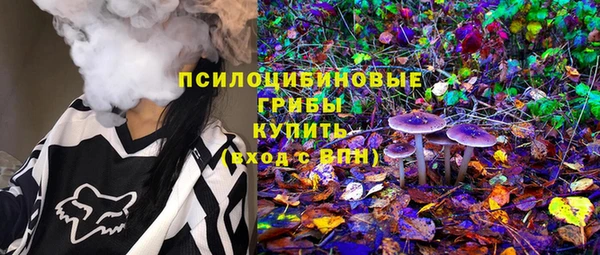 PSILOCYBIN Баксан